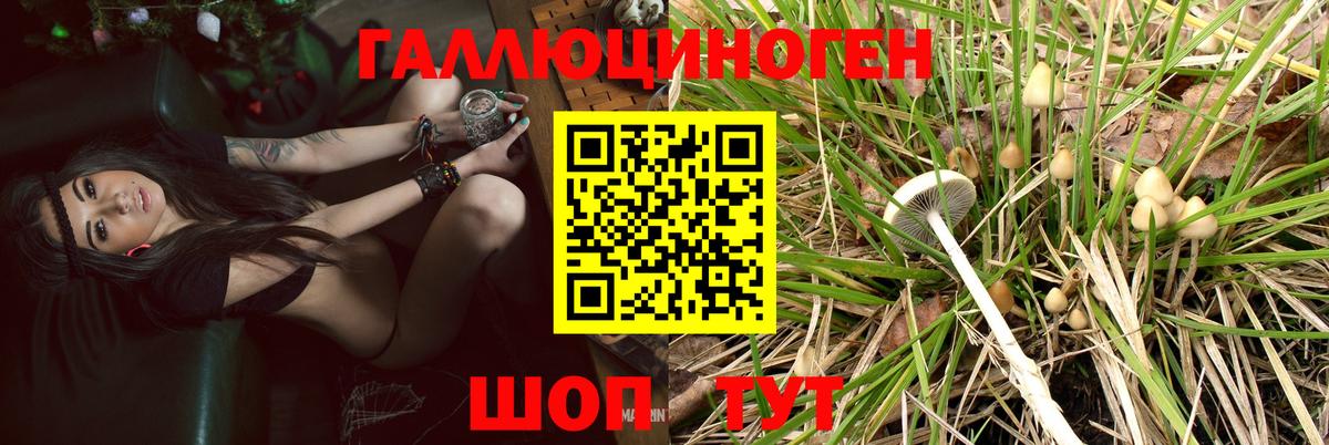Галлюциногенные грибы Magic Shrooms Бутурлиновка