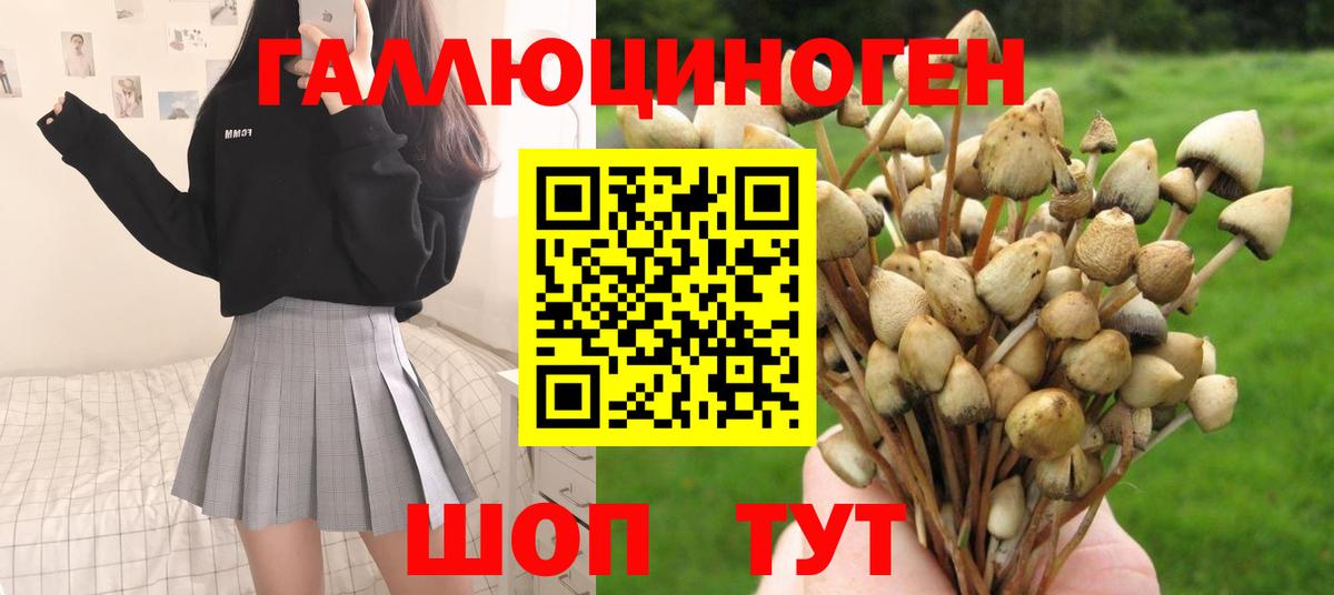 купить  цена  Псилоцибиновые грибы Magic Shrooms  Вход с VPN  Бутурлиновка 